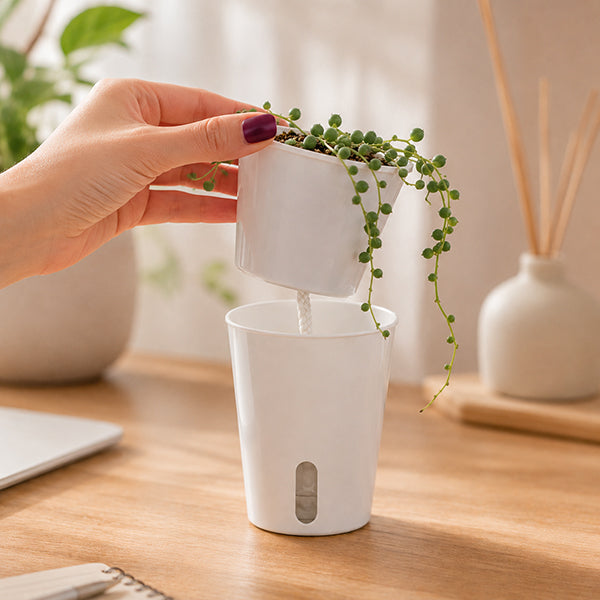assemblage pot de fleurs interieur mini source sur bureau