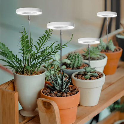 Lampe pour plante