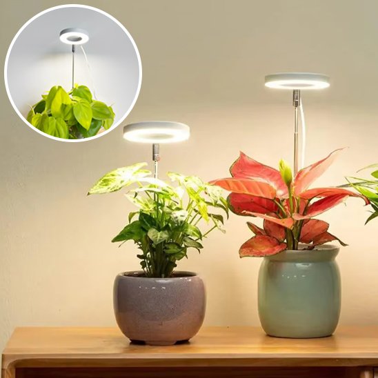 Lampe pour plante