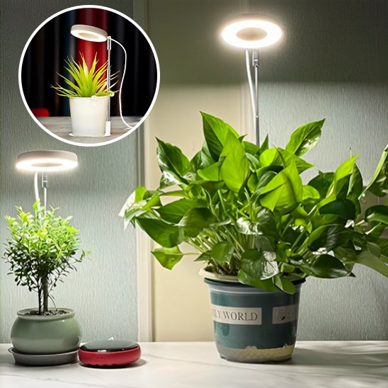 Lampe pour plante