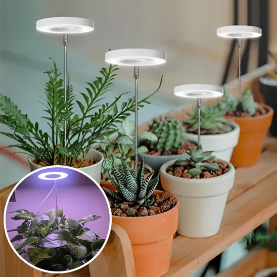 Lampe pour plante