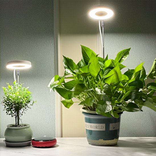 Lampe pour plante