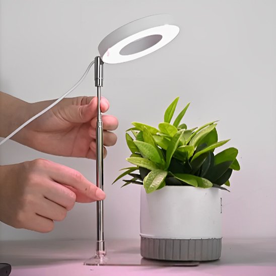Lampe pour plante