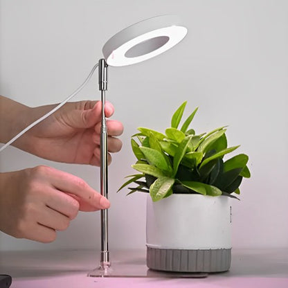 Lampe pour plante