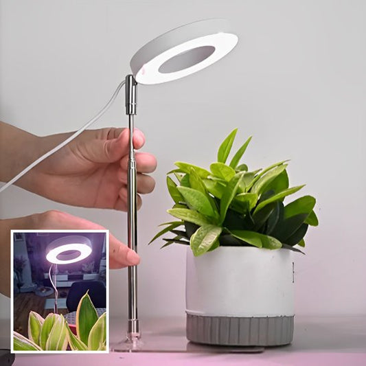 Lampe pour plante