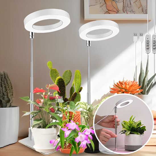 Lampe pour plante