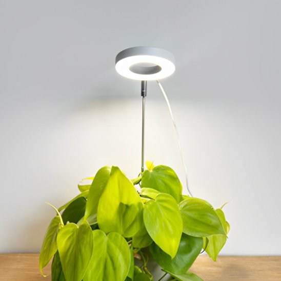 Lampe pour plante