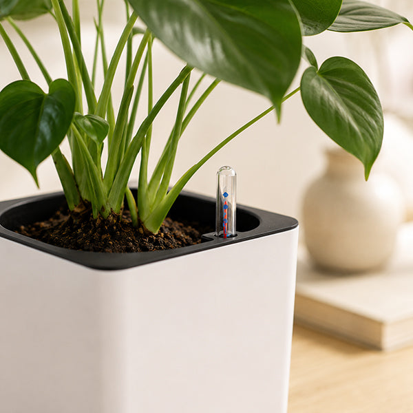 matiere pot de fleur aquacube