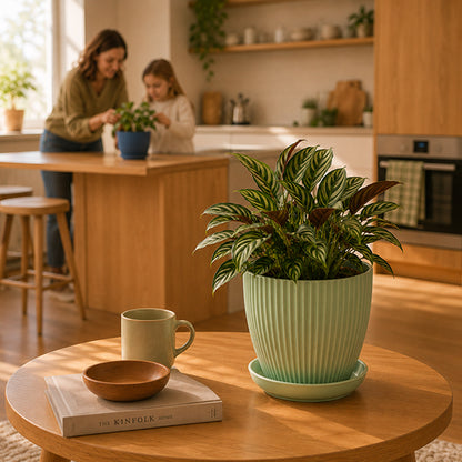 mere apprenant a sa fille a prendre soin des plantes dans pot de fleur