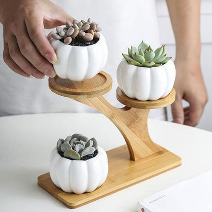 Porte plante 