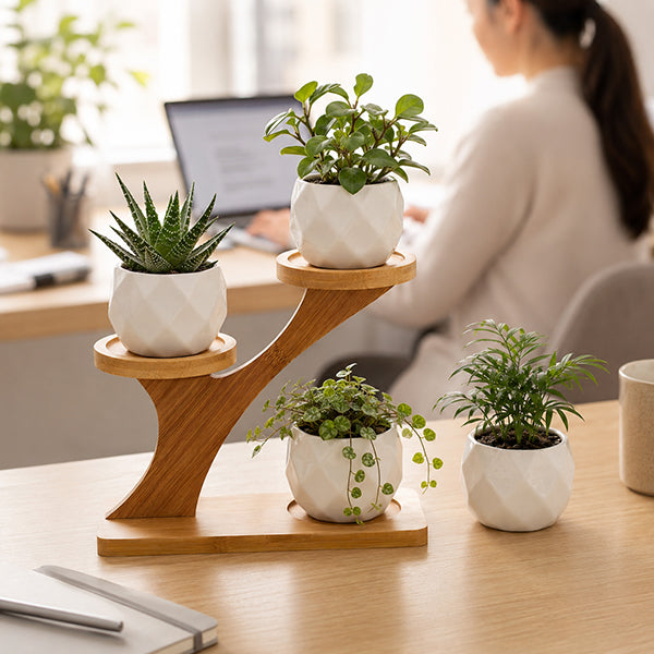 porte plante ascension dans bureau teletravail