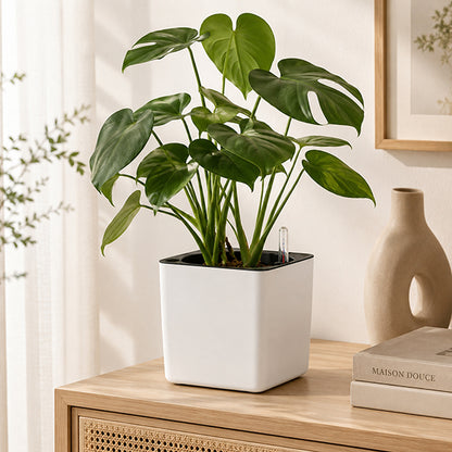 pot de fleur aquacube sur meuble salon