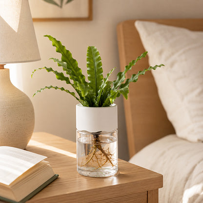 pot de fleur racines apparentes sur table de chevet