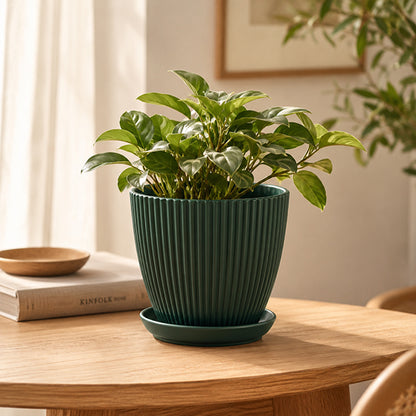 pot de fleur vert foret style colonne romaine sur table