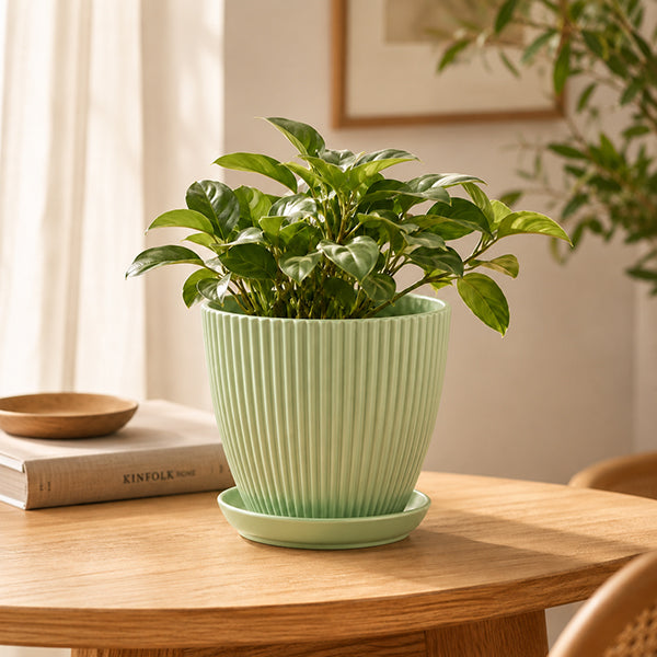 pot de fleur vert tendre style colonne romaine sur table