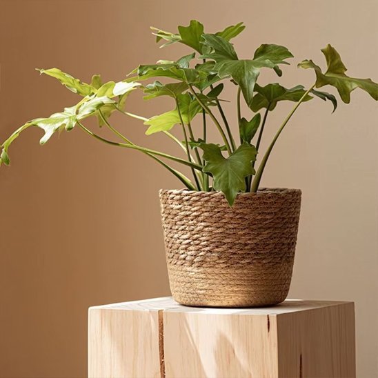 Pot de fleur 