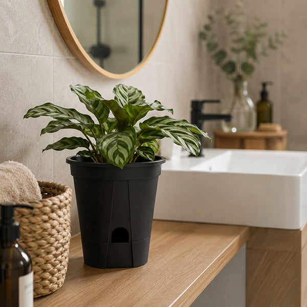pot de fleurs design resistant pose sur comptoir salle de bain