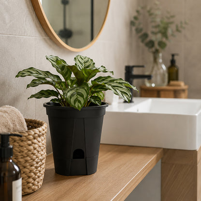 pot de fleurs design resistant pose sur comptoir salle de bain