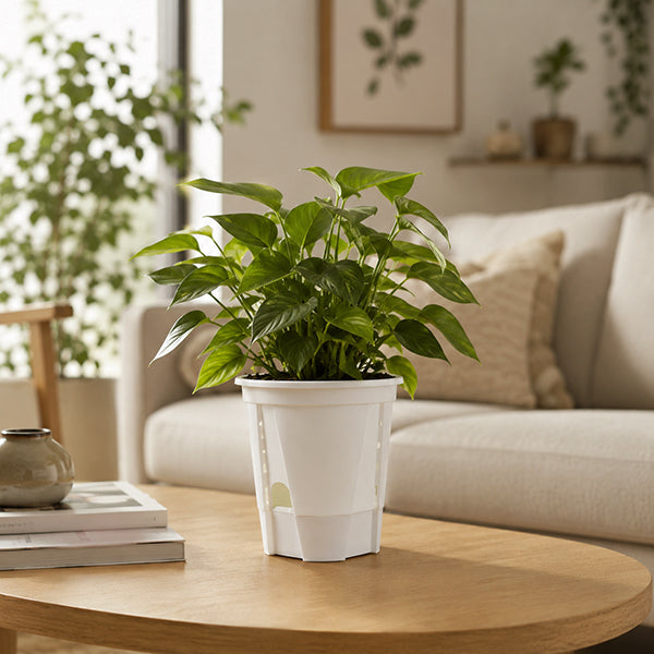 pot de fleurs elegant durable sur table basse de salon