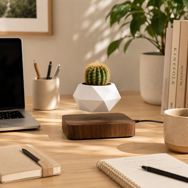 pot de fleurs orbite avec succulente sur bureau
