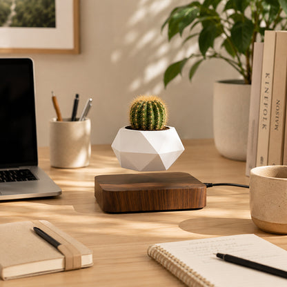 pot de fleurs orbite avec succulente sur bureau