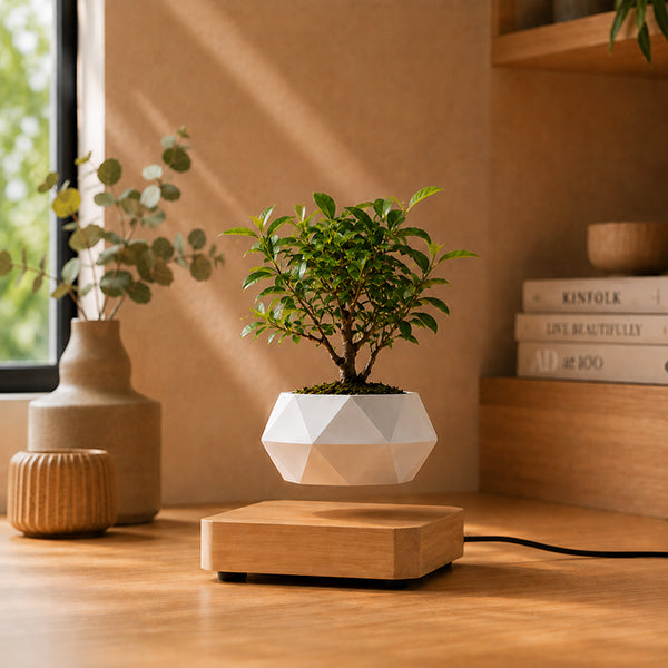 pot de fleurs orbite blanc sur socle bois claire