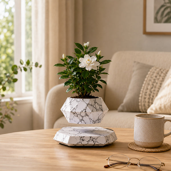 pot de fleurs orbite marbre sur table salon
