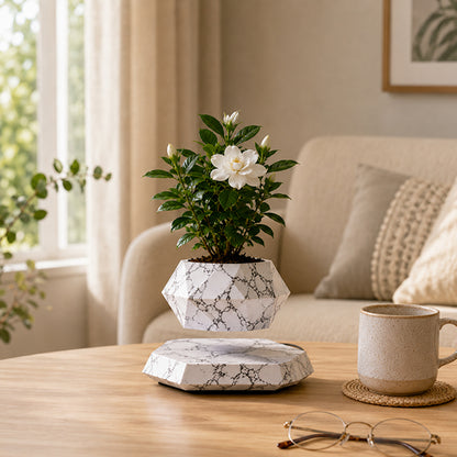 pot de fleurs orbite marbre sur table salon