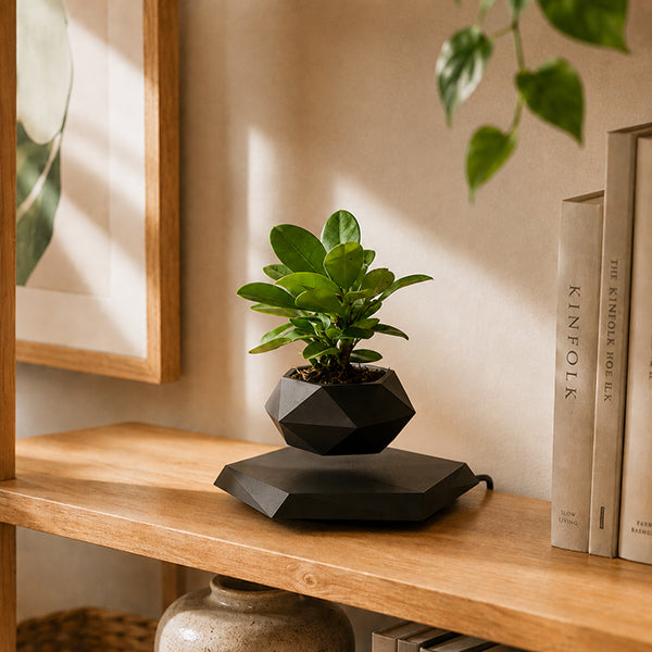 pot de fleurs orbite noir sur etagere