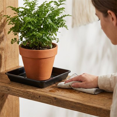 Soucoupe pot de fleur 