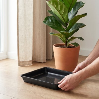Soucoupe pot de fleur 