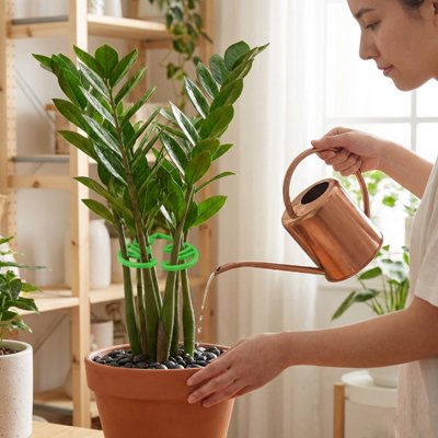 Support plante grimpante 