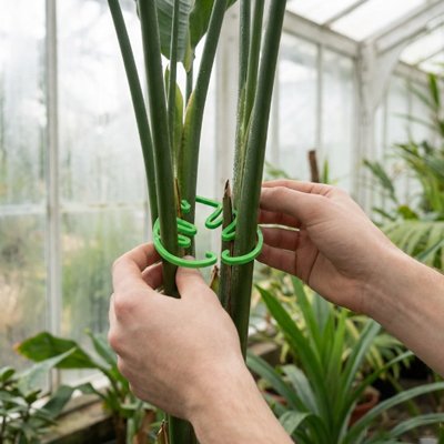 Support plante grimpante 