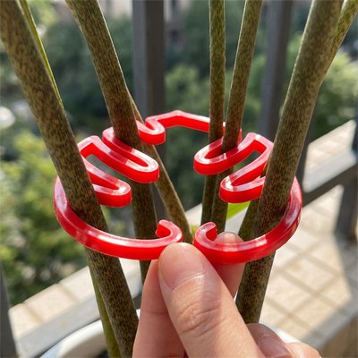 Support plante grimpante 