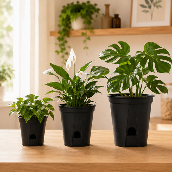 trois differentes tailles de pot de fleurs design resistant