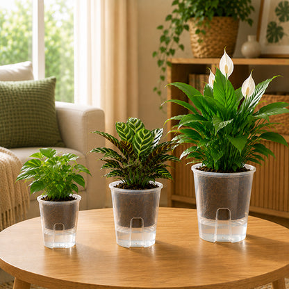 trois differentes tailles pot de fleurs design durable