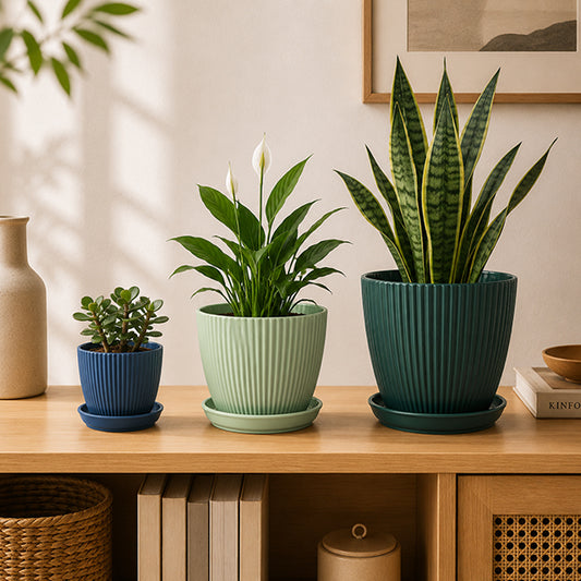 trois pots de fleurs colonne romaine couleur et taille differente