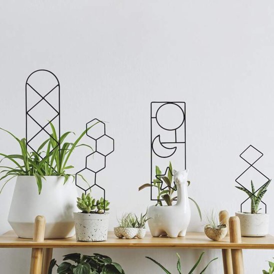 Tuteur plante 