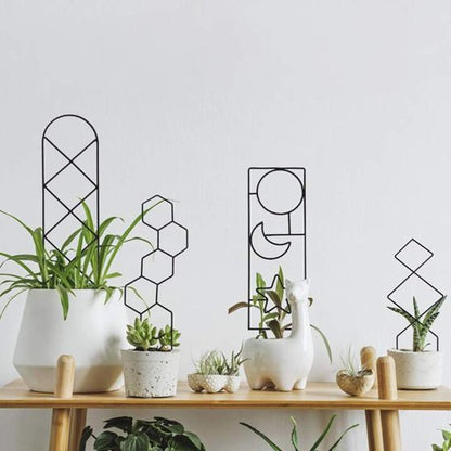 Tuteur plante 