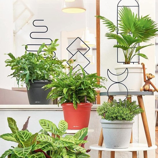 Tuteur plante 