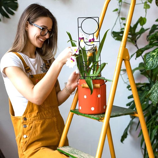 Tuteur plante 