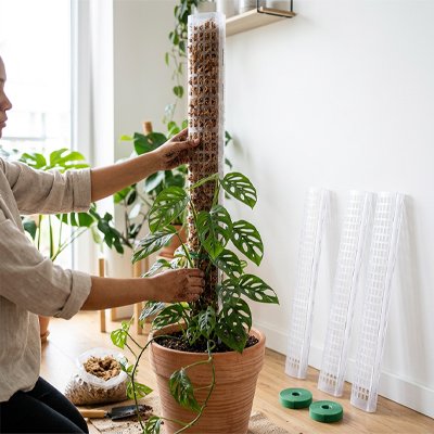 Tuteur pour plante 