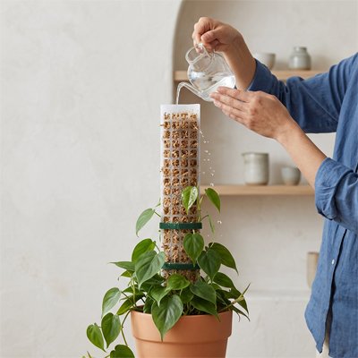 Tuteur pour plante 
