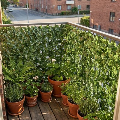 Un balcon transformé en oasis végétale pour s’évader sans quitter chez soi