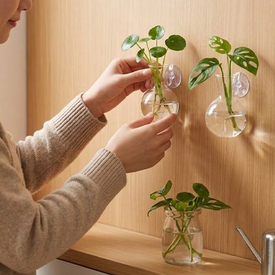 Vase mural 